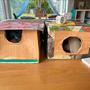 KG Bild Haus-1